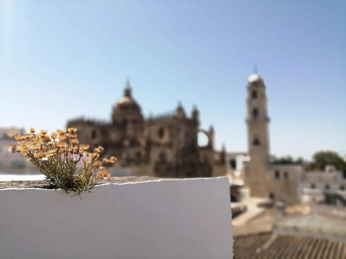 Bellas Artes Catedral Jerez de la Frontera